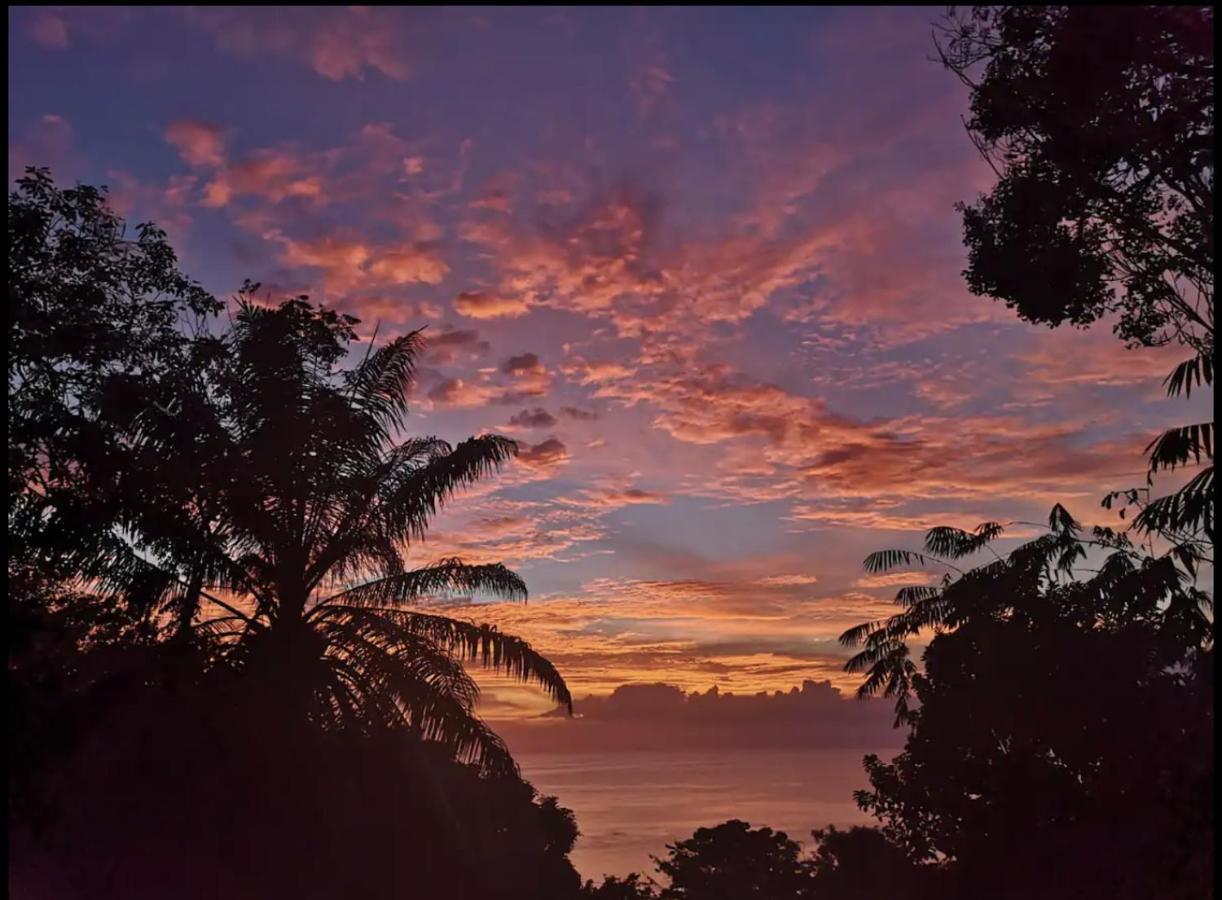 Casa Geraldo Bed & Breakfast Manuel Antonio Dış mekan fotoğraf