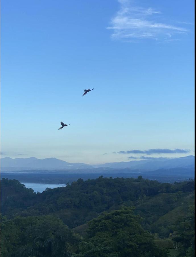 Casa Geraldo Bed & Breakfast Manuel Antonio Dış mekan fotoğraf